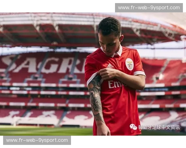 本菲卡积分榜：红色荣耀背后的数据与热爱